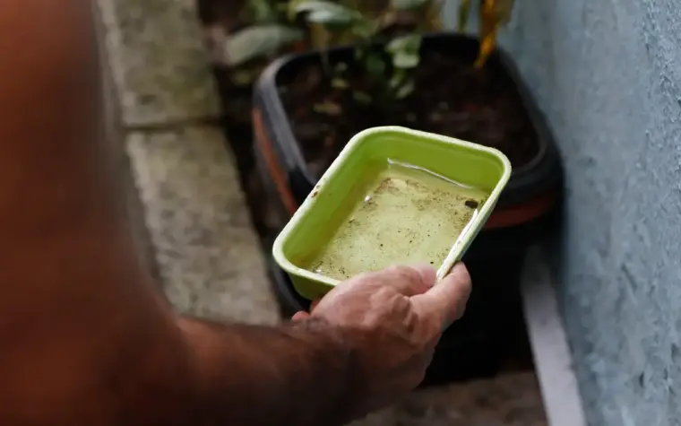 El Niño pode intensificar epidemias de dengue e chikungunya no país