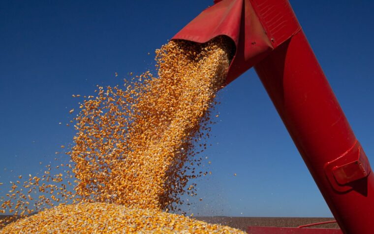 Produção agrícola do Brasil deve atingir 347,4 milhões t em 2026