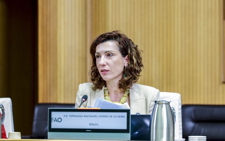 Brasil permanece fora do Mapa da Fome, segundo análise da ONU