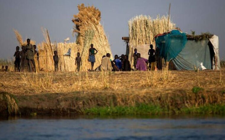 ONU: 645 milhões passam fome no mundo em nova estimativa global