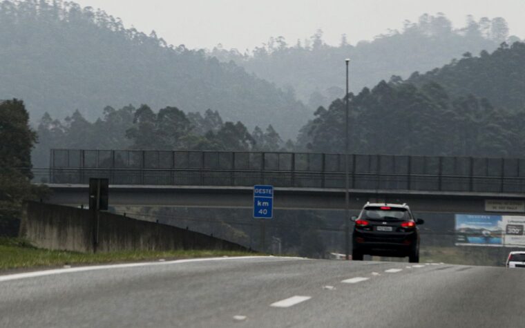 Interior de SP enfrenta aumento nas queimadas com clima seco