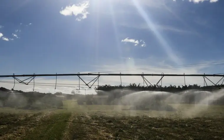 Novo programa de renegociação rural combate fraudes com punições severas