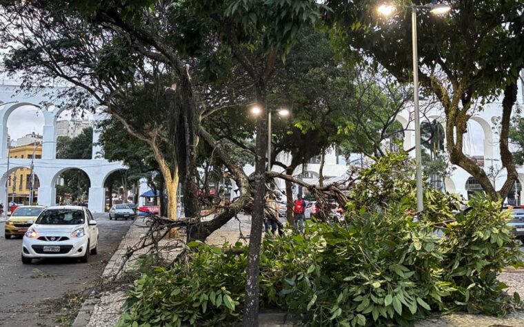 Ventos fortes no Rio: moradores enfrentam estragos e transtornos