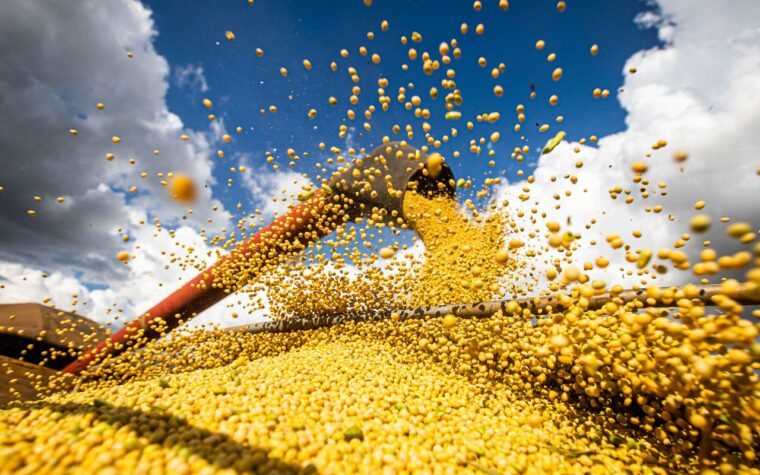 Agronegócio no Brasil alcança novo recorde com receitas bilionárias em 2025