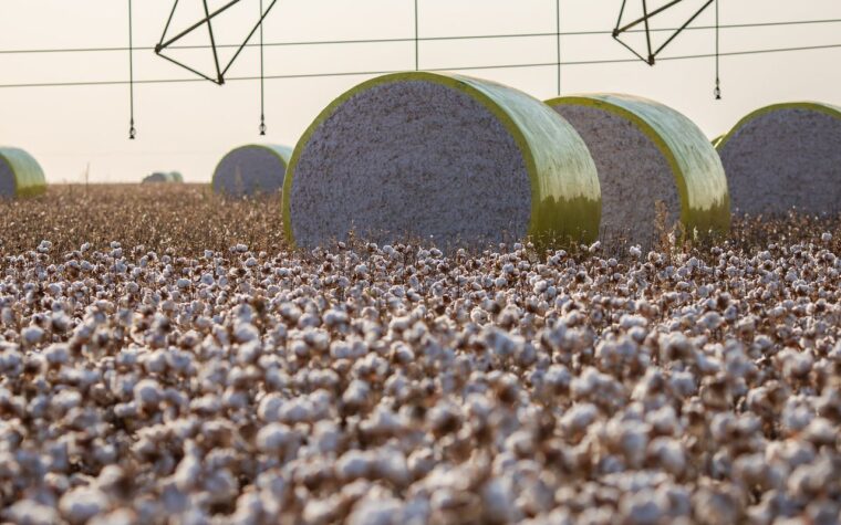 Sorriso perde liderança como maior produtor agrícola do Brasil