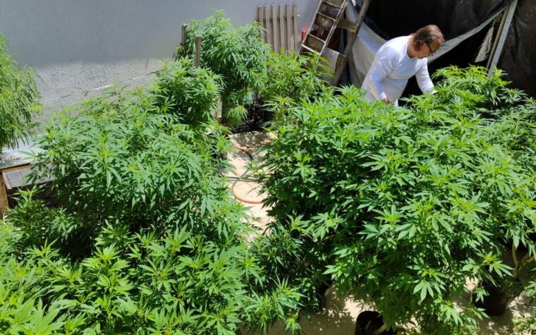 Evento em Fortaleza discute políticas inclusivas sobre drogas
