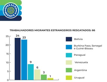 Operação flagra trabalho escravo e resgata 479 pessoas em agosto
