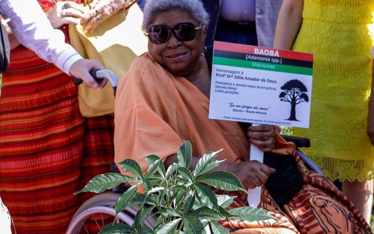 Zélia Amador de Deus, ícone da luta antirracista, morre aos 79 anos