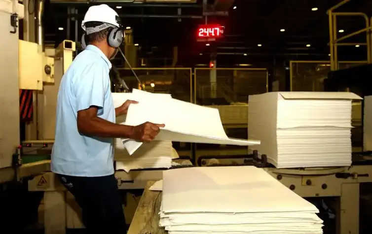 Setor florestal bate recorde histórico de faturamento em 2025 no Brasil