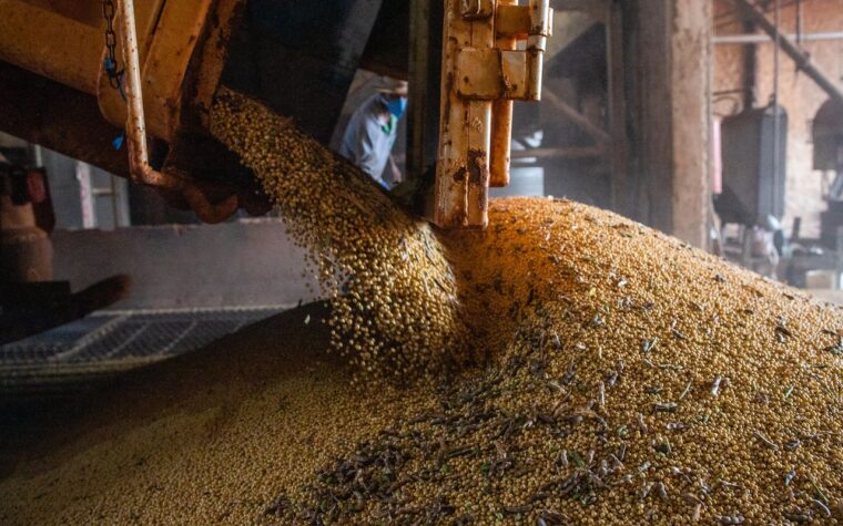 Brasil prevê aumento na produção de grãos, desafiando El Niño