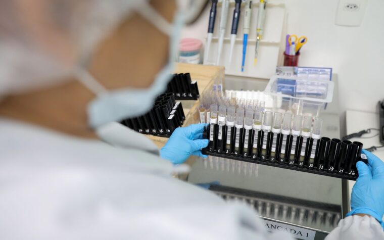 Anvisa aprova teste em humanos para vacina nacional contra malária