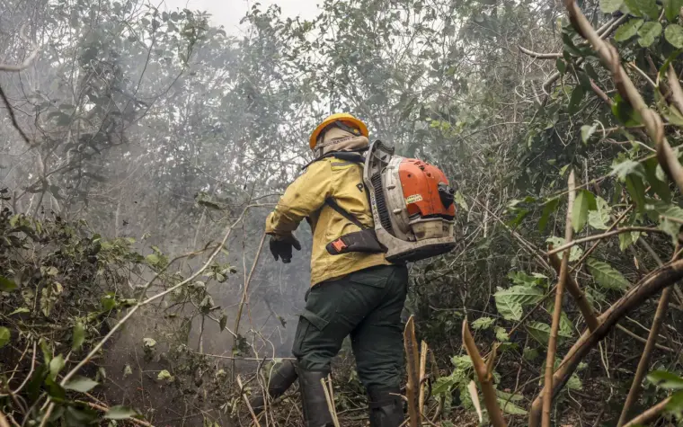 Ministro afirma que queimadas no Amazonas têm origem humana