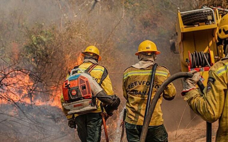 Queimadas no Amazonas ameaçam saúde de comunidades indígenas
