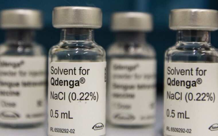Alerta: 3 milhões de jovens sem proteção completa contra dengue