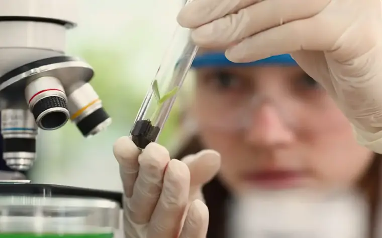 Estudantes e professoras vivenciam tecnologia através de imersão científica